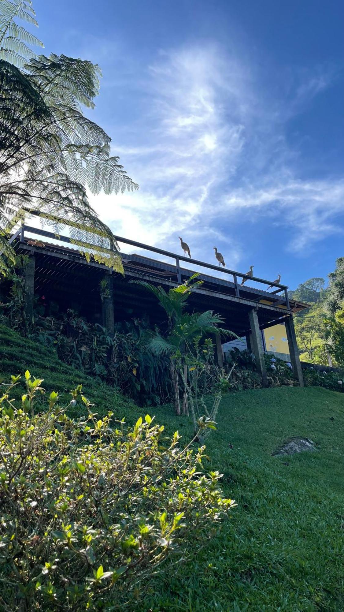 Sitio Com Piscina Natural E Cascata, Com Linda Vista Em Lumiar. Exterior photo