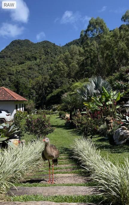 Sitio Com Piscina Natural E Cascata, Com Linda Vista Em Lumiar. Exterior photo